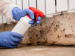 Best Black Mold Removal  in Colville, WA